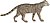 Felis torquata - 1834 - Print - Iconographia Zoologica - Special Collections University of Amsterdam -(white background).jpg