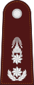RTP OF-7 (Police Major General).svg