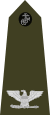 US Marine O6 shoulderboard vertical.svg
