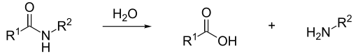 Amide hydrolysis.svg