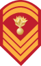 E-8 insignia