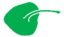 Leaf morphology peltate.png