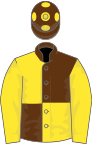 Brown and yellow (quartered), yellow sleeves, brown cap, yellow spots