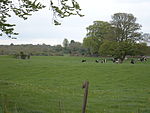 MonisternagalliaghduffAbbey.jpg
