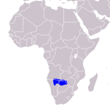 Tockus bradfieldi - Distribution.png