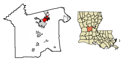 Location of Pineville in Rapides Parish, Louisiana.