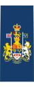Canadian RCAF OR-9a.svg