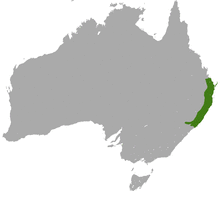 Short-eared Possum area.png