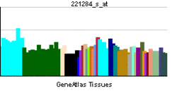 PBB GE SRC 221284 s at.png