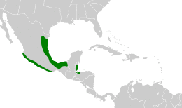 Amazona oratrix map.svg