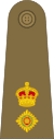Lieutenant-Colonel