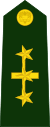 Colombia-Army-OF-5.svg