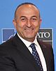 Mevlüt Çavuşoğlu (cropped).jpg