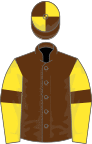 Brown, yellow sleeves, brown armlets, brown and yellow quartered cap