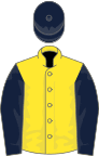 Yellow, dark blue sleeves and cap