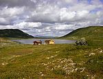 Røssjøkollbua.jpg