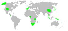 Distribution.telemidae.1.png