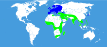 Distribution map Daphnis nerii.svg
