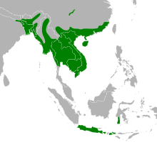 Python bivittatus Area.svg