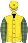 Yellow, mcalpine tartan sleeves