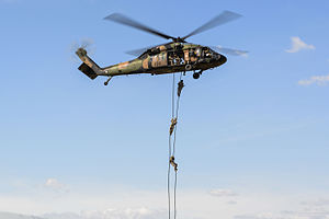Soldiers from the Australian Army 2nd Commando Regiment fast rope from an S-70A-9 Black Hawk from the Australian Army 171st Aviation Squadron during exercise Talisman Sabre 2015.jpg