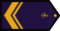 CS-ARA.png
