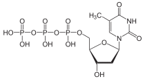 Skeletal formula of thymidine triphosphate, 3- negative charge