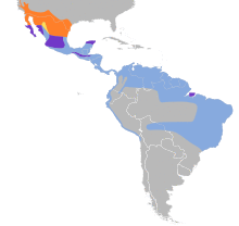 Chordeiles acutipennis map.svg