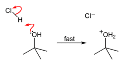 1-HCl-protonates-tBuOH-2D-skeletal.png