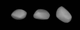 556Phyllis (Lightcurve Inversion).png