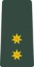 Georgia Army OF-1b.png