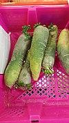Green radish (34758437621).jpg