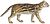 Felis pardalis - 1834 - Print - Iconographia Zoologica - Special Collections University of Amsterdam -(White Background).jpg