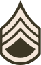 U.S. Army staff sergeant's arm badge