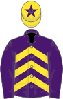 Purple, yellow chevrons, purple sleeves, yellow cap, purple star