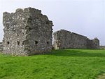 Castlederg Castle - geograph.org.uk - 371758.jpg