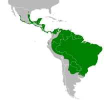 Cairina moschata map.svg