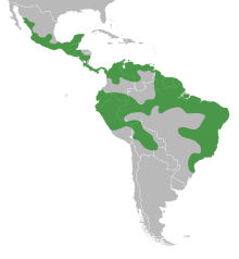 Platymiscium distribution.svg