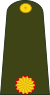 Argentina-Army-OF-6.svg