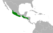 Panyptila sanctihieronymi map.svg