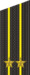 RAF N F4-Kapitan-2nd 2010–.png