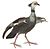 Chauna chavaria white background.jpg