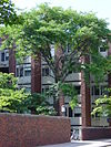 BrownUniversity-GradCenterD.jpg