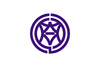 Flag of Shimizu
