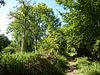 Bradfield Woods