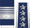 US-Air Force-McPeak-O10.svg