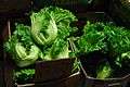 Gai Choi Mustard Greens - J K Asian Grocery (5050526668).jpg