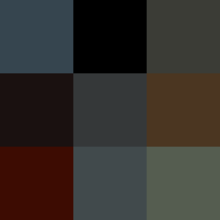 Color icon black new2.png