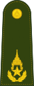 Brigadier