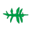 Pennatipartite2.svg